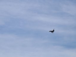 26020006