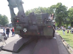 26020036